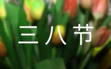 村三八妇女节活动方案策划模板6篇