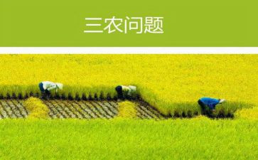 三农问题调研报告5篇