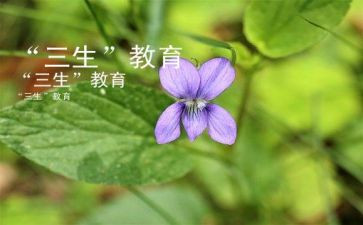 初三生活作文600字优质6篇