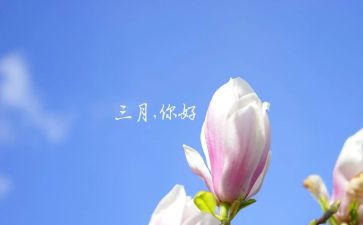 幼儿园三月份的工作总结6篇