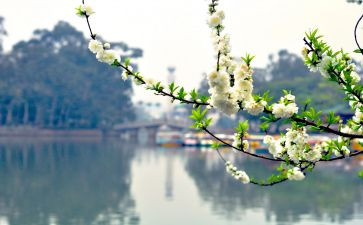 《三月》读后感8篇