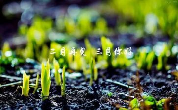 幼儿三月工作总结优质5篇