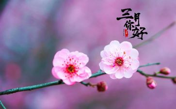 初三月心得体会7篇
