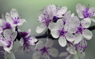 初三月考演讲稿6篇