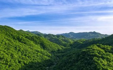 爬山话的脚教案模板7篇