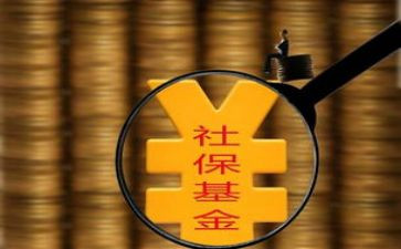 社保月工作总结最新5篇
