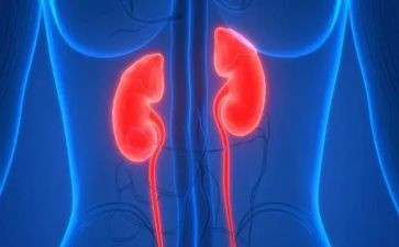 肾内科的个人总结5篇