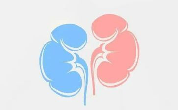 肾内科的心得体会优秀8篇