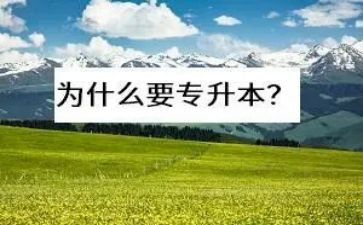 专升本入学自我鉴定通用5篇