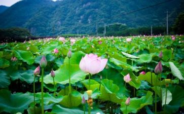 生活和工作总结范文6篇