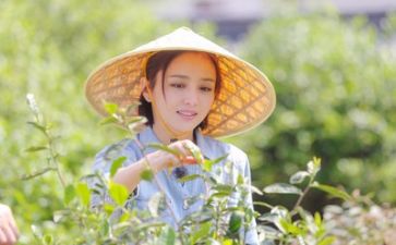记录生活作文5篇