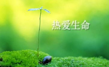 珍爱生命之水的演讲稿8篇