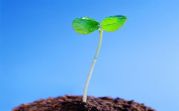 珍爱生命演讲稿最新6篇