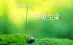 珍爱生命之水的演讲稿8篇