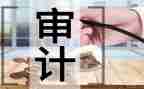 审计党组述职报告7篇
