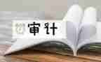 审计年度总结参考7篇