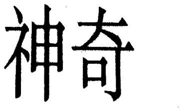 神奇的伞作文模板7篇