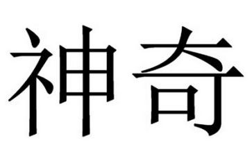 神奇的飞书的读后感6篇