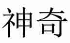 神奇的飞书的读后感6篇
