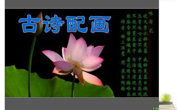 我爱诗作文精选5篇