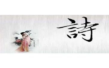 诗经??读后感8篇