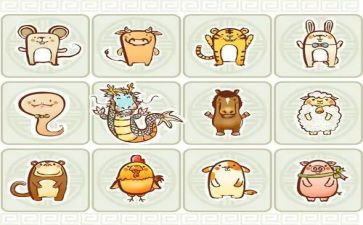 中班十二生肖教案5篇