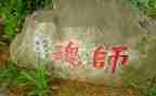 强师德铸师魂心得8篇
