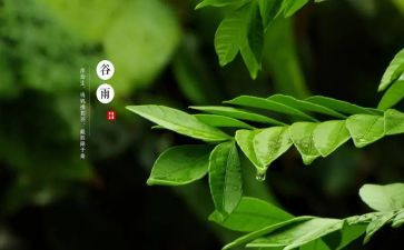 十四运作文8篇