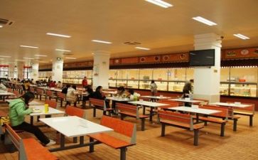 食堂的调查报告优秀6篇