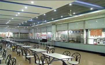 食堂的调查报告5篇