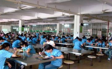 食堂的述职报告范文6篇