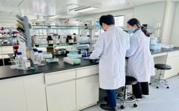 实验室周工作总结模板5篇