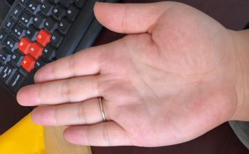 手掌鸟教案优质8篇