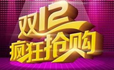 双11双12活动方案参考5篇