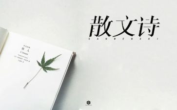抒情类作文最新5篇