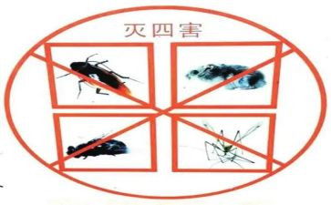 农村四害工作计划5篇