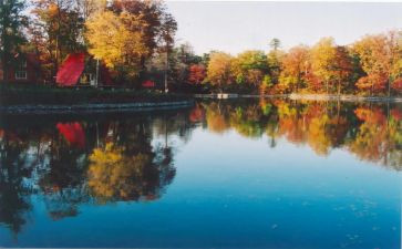 四季小学教案8篇