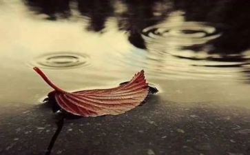 写中秋节思念的作文7篇