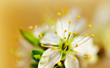 四月周工作总结参考5篇