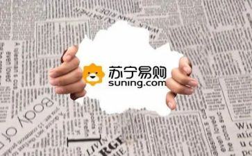 苏宁2023工作总结5篇
