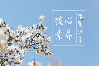 素养与心得体会6篇