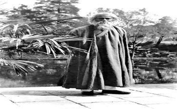 泰戈尔《家》读后感6篇