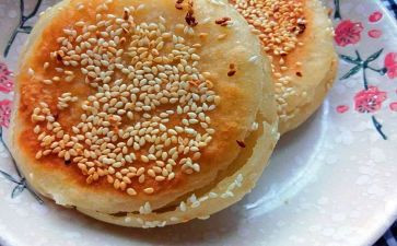 贴烧饼作文8篇