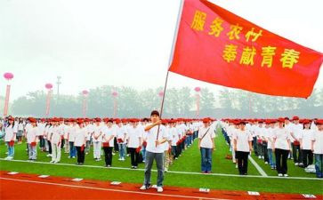 2024特岗教师转正个人总结5篇