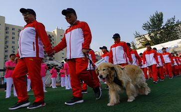 特教老师月工作总结通用8篇