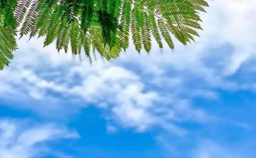 锋与天气教案5篇