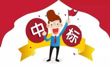 投标工作总结优质7篇