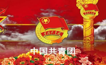 团干部考核个人总结范文5篇