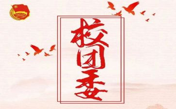来校团委工作总结7篇