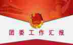 校分团委工作总结参考5篇